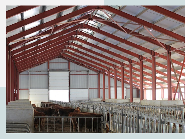 Строительство коровников в Сланцах