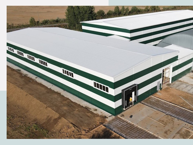 Строительство овощехранилищ в Сланцах